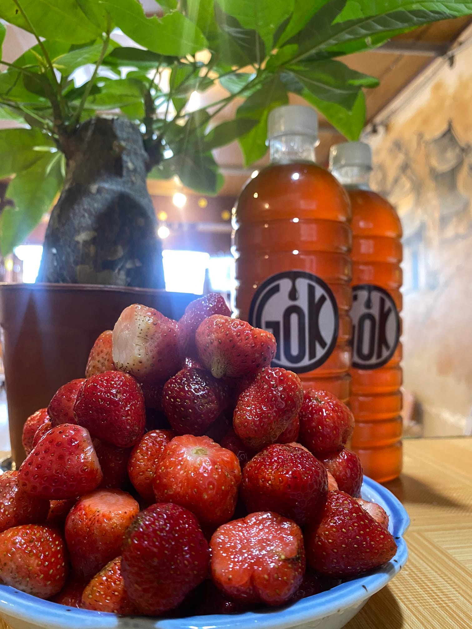 Gốk Cà Phê - Trần Bình Trọng