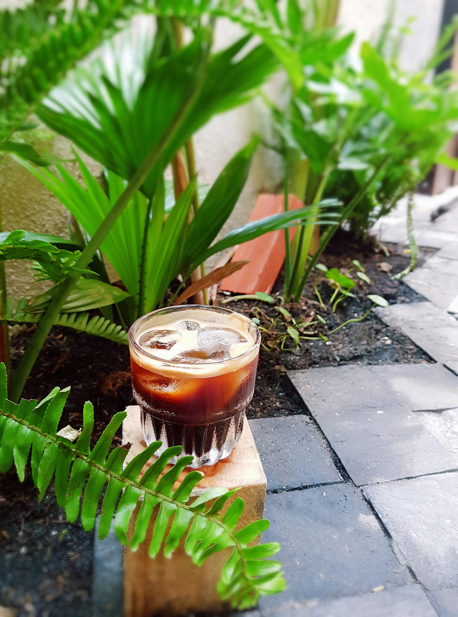 52 Blue Coffee - Coffee - Nguyễn Đình Chiểu