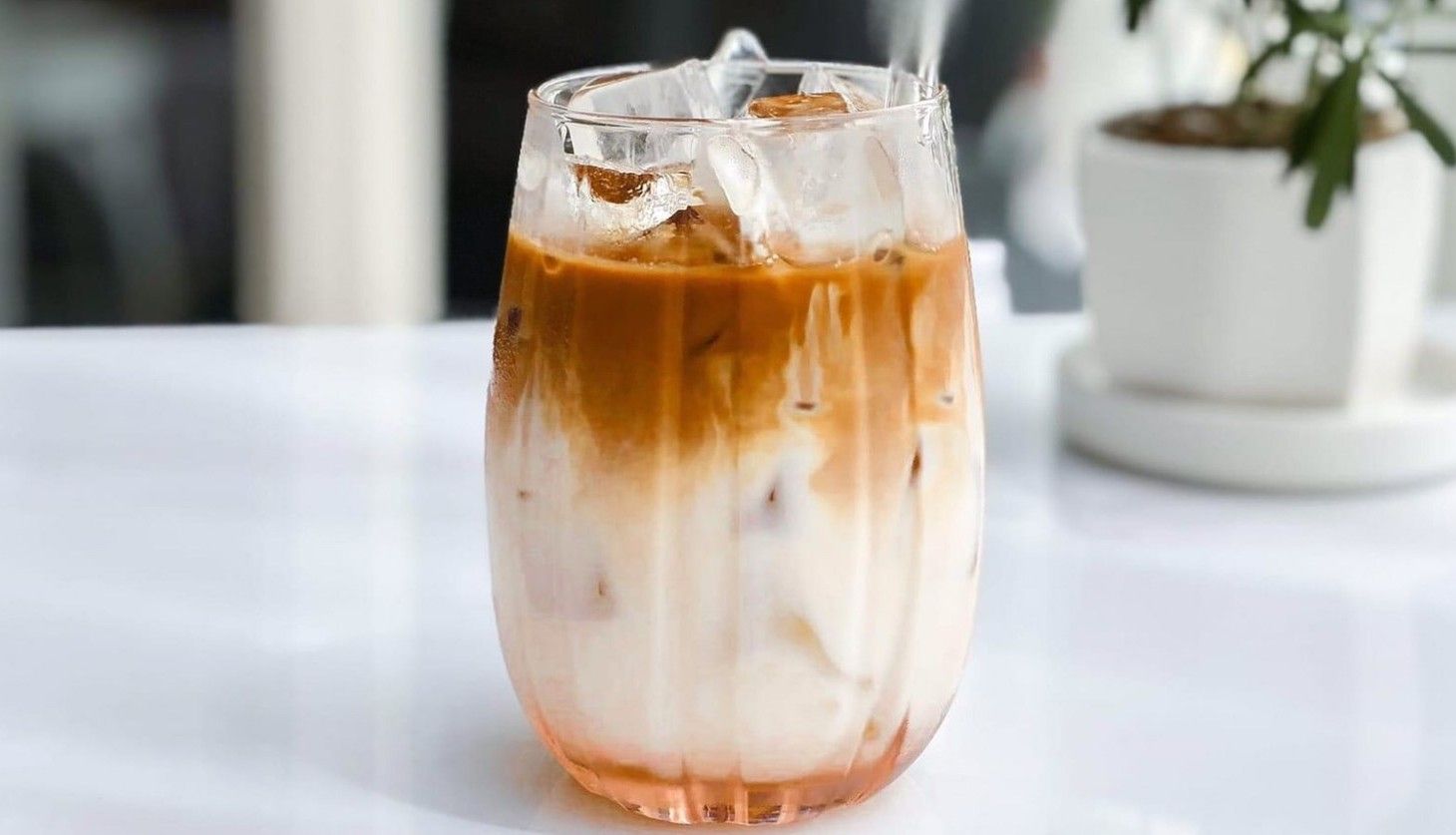 Cafe Cá Biển - Vua Hải Tặc - Vĩnh Hội