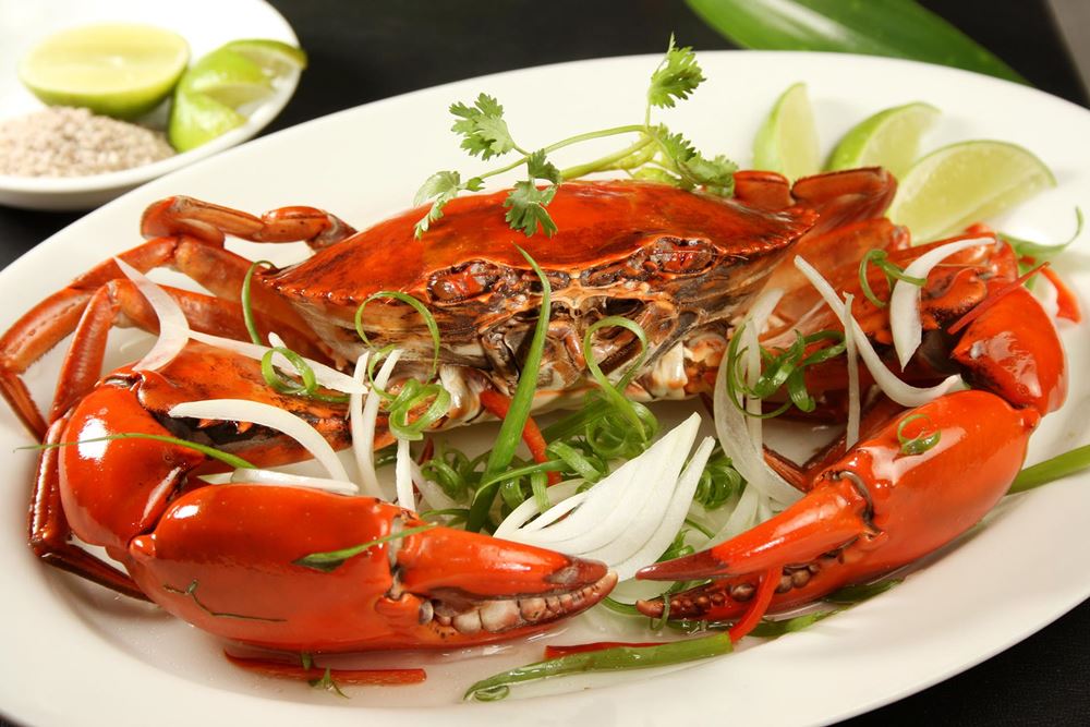 Tòng Quán - Hải Sản - Thái Thịnh