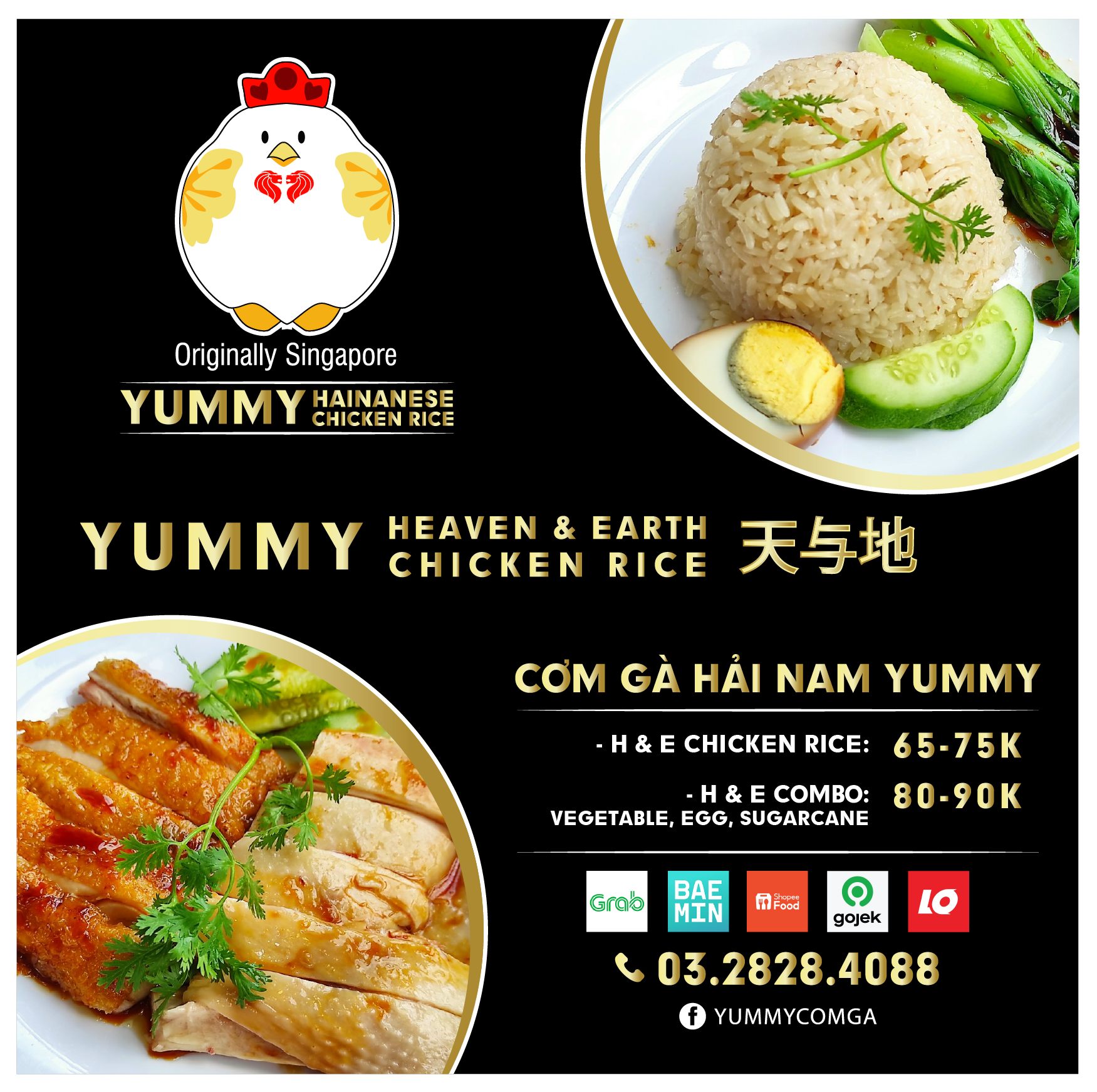 Cơm Gà Hải Nam Yummy - Đường Số 13