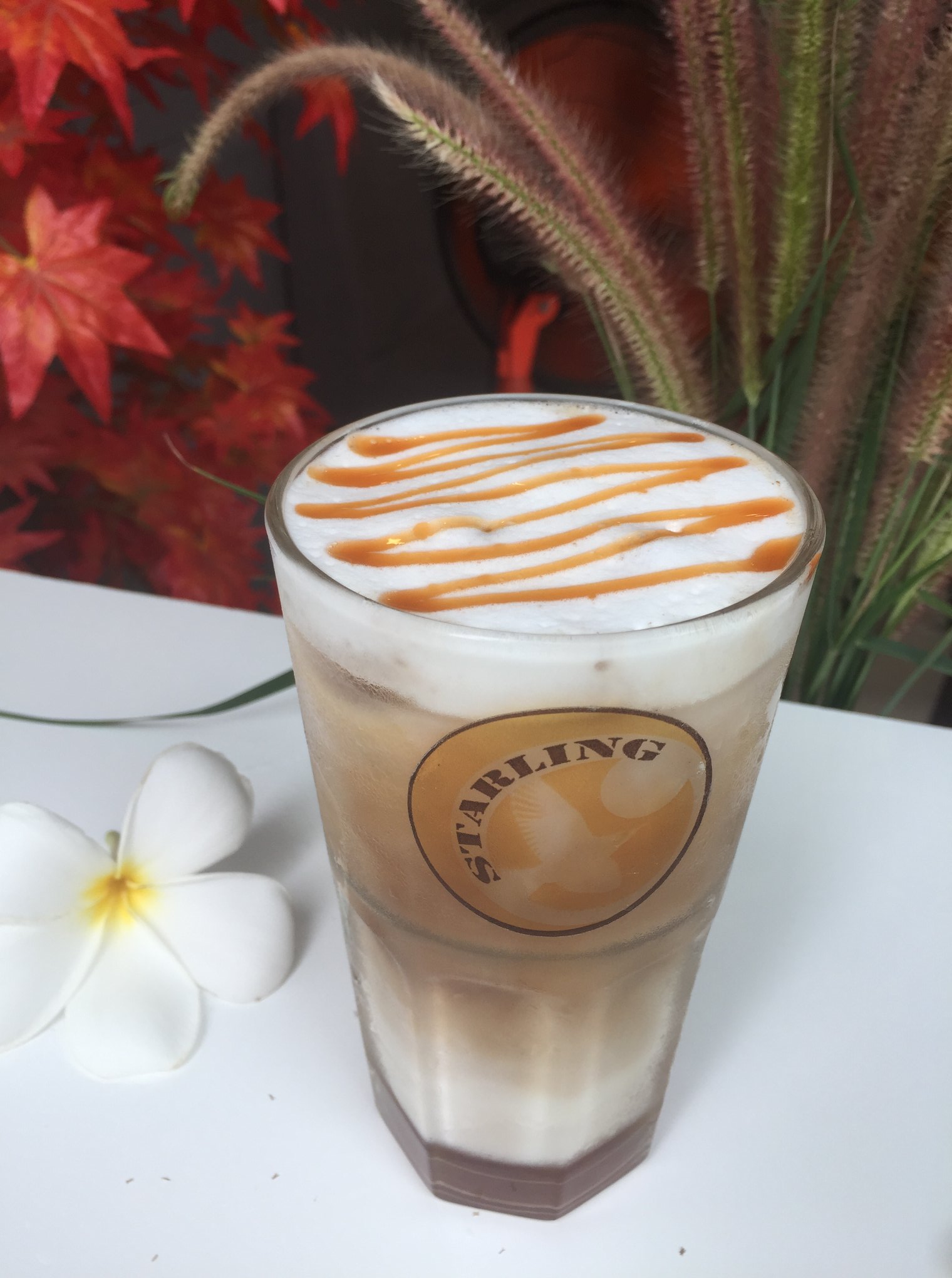 Starling Coffee - Phạm Hữu Lầu