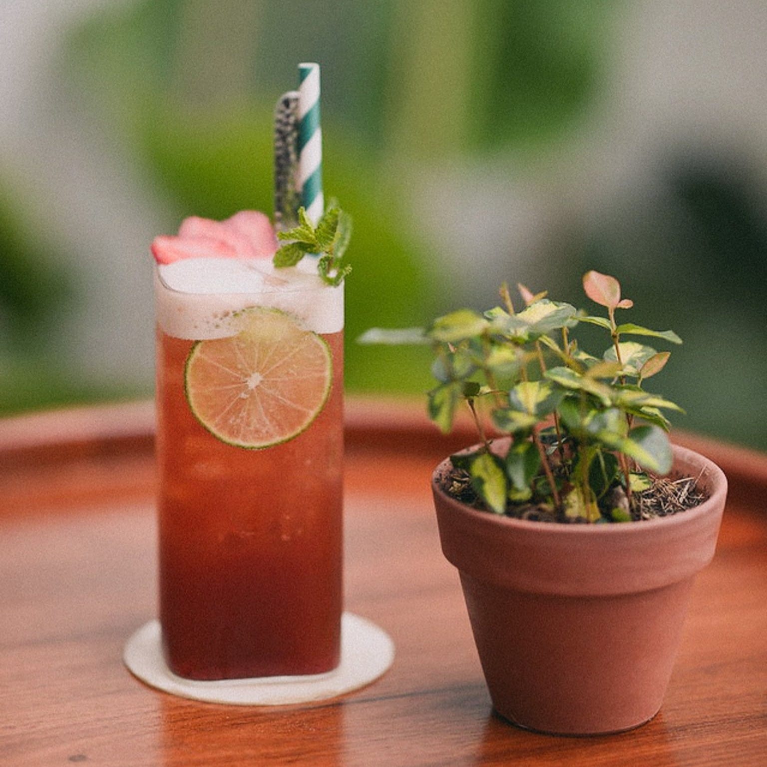 Cafe Sese - Nguyễn Tất Thành