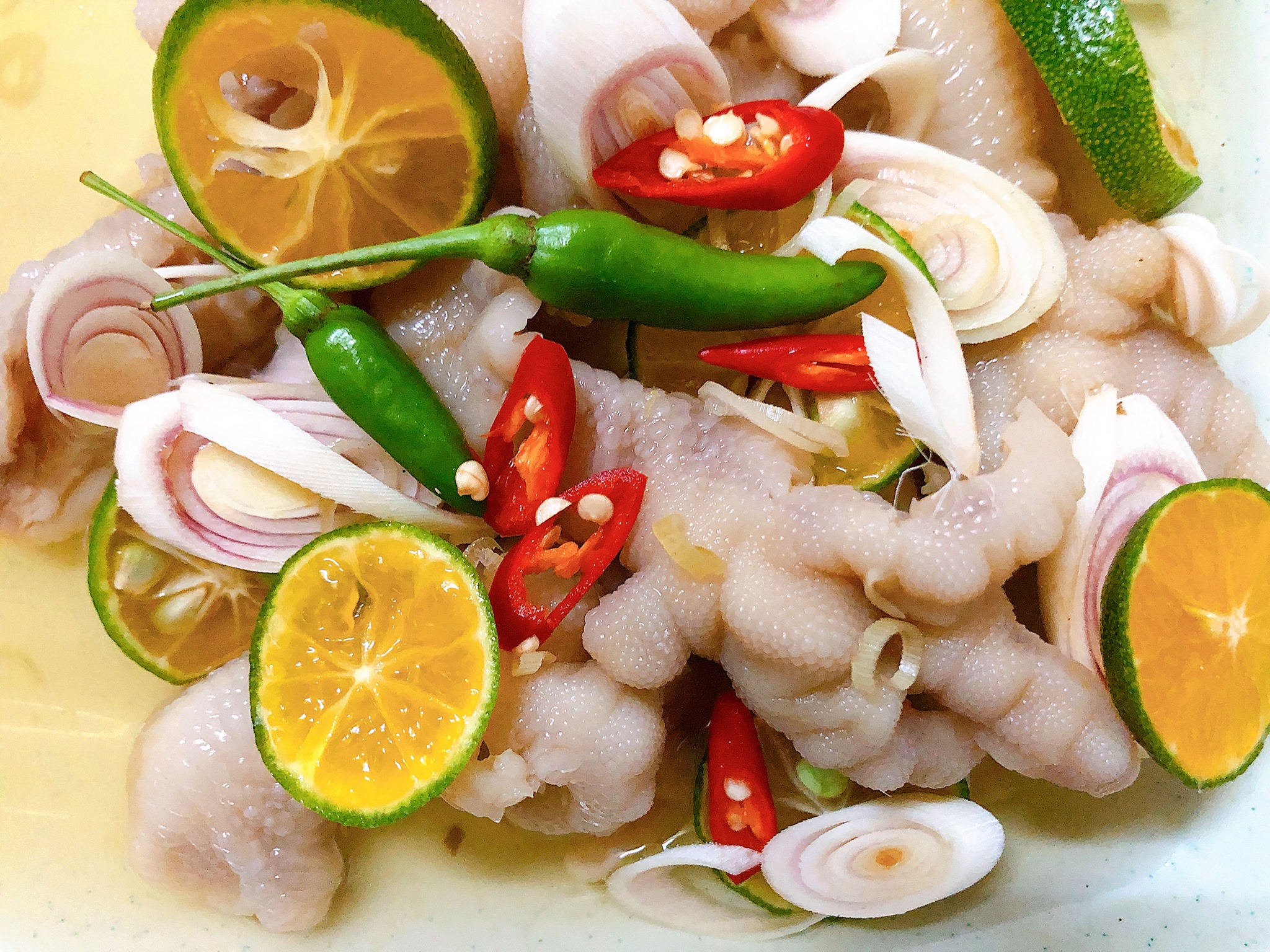 Chân Gà Thành Mập - Bạch Đằng