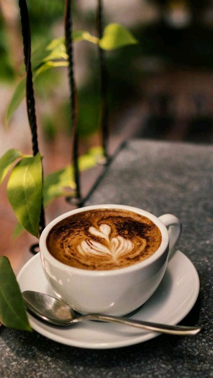 Vin Cup Coffee - Vườn Lài