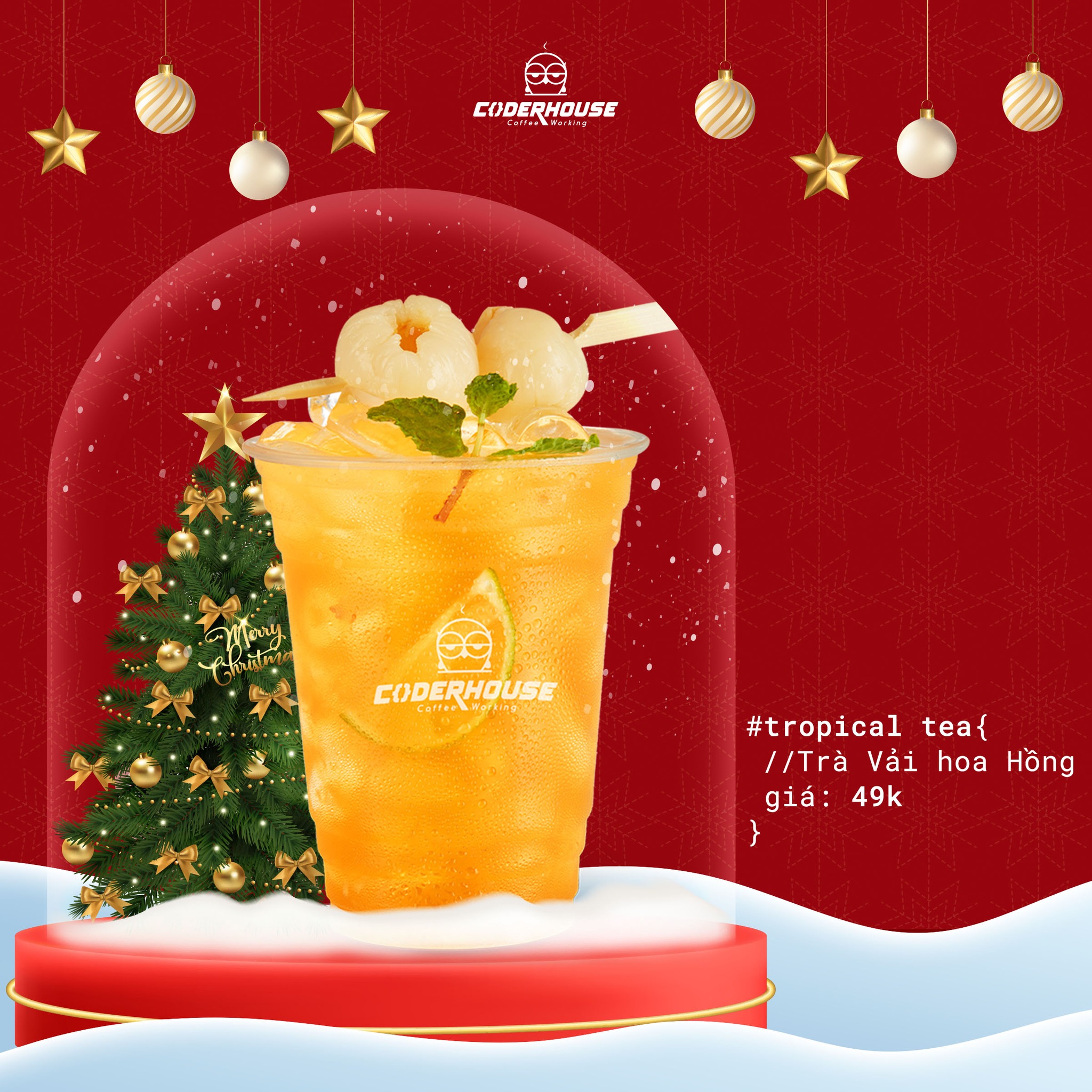 Coder House - Thống Nhất