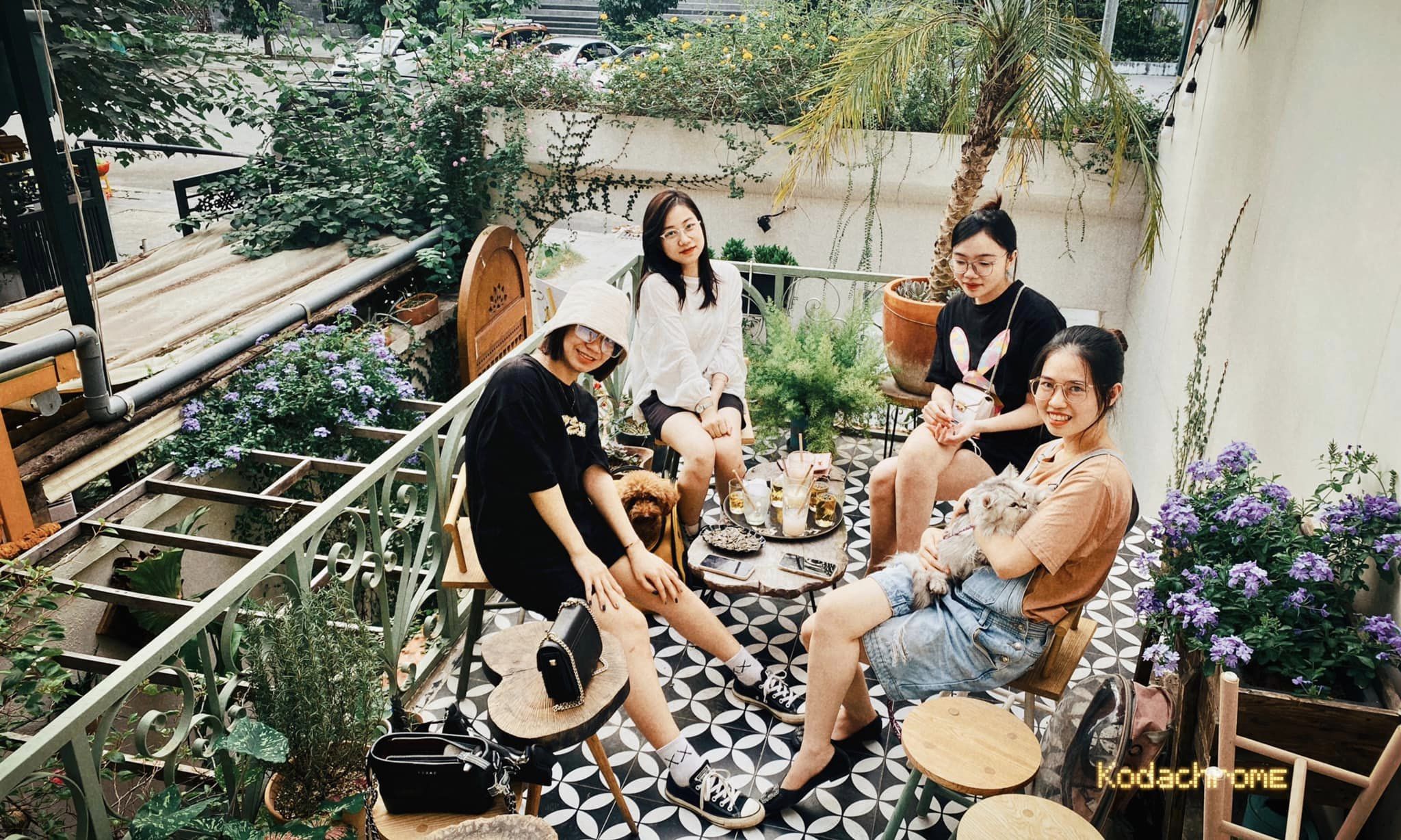 Azalea Coffee - Chùa Láng