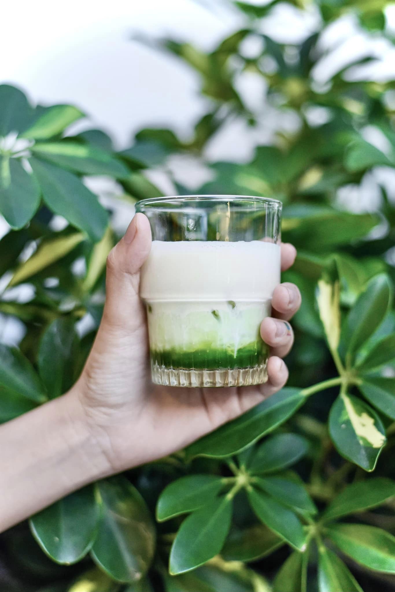 Tiệm Kiết - Ngô Quyền