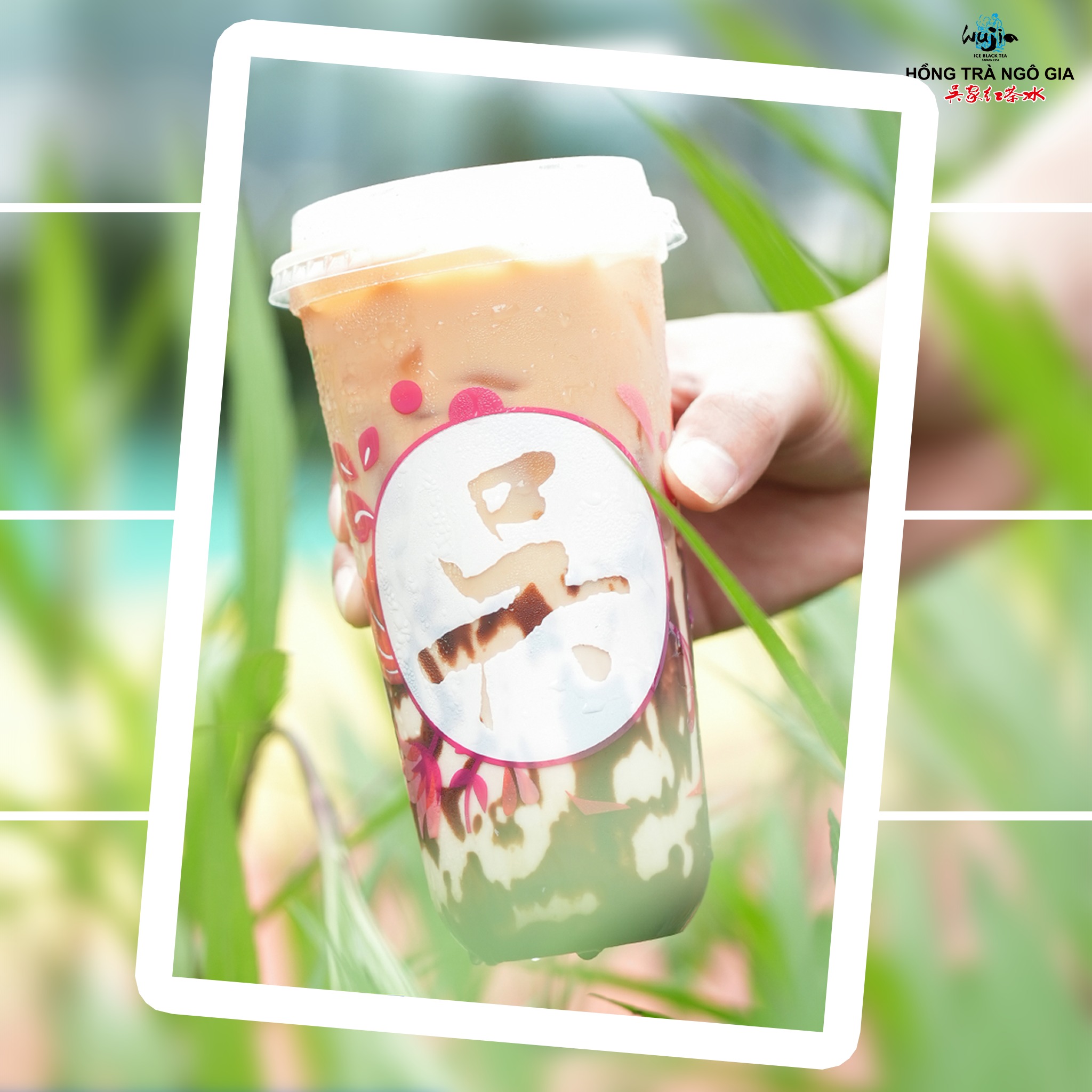 Hồng Trà Ngô Gia - Đỗ Xuân Hợp