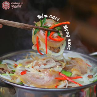 Bò Tơ Nhân Phát - Song Hành