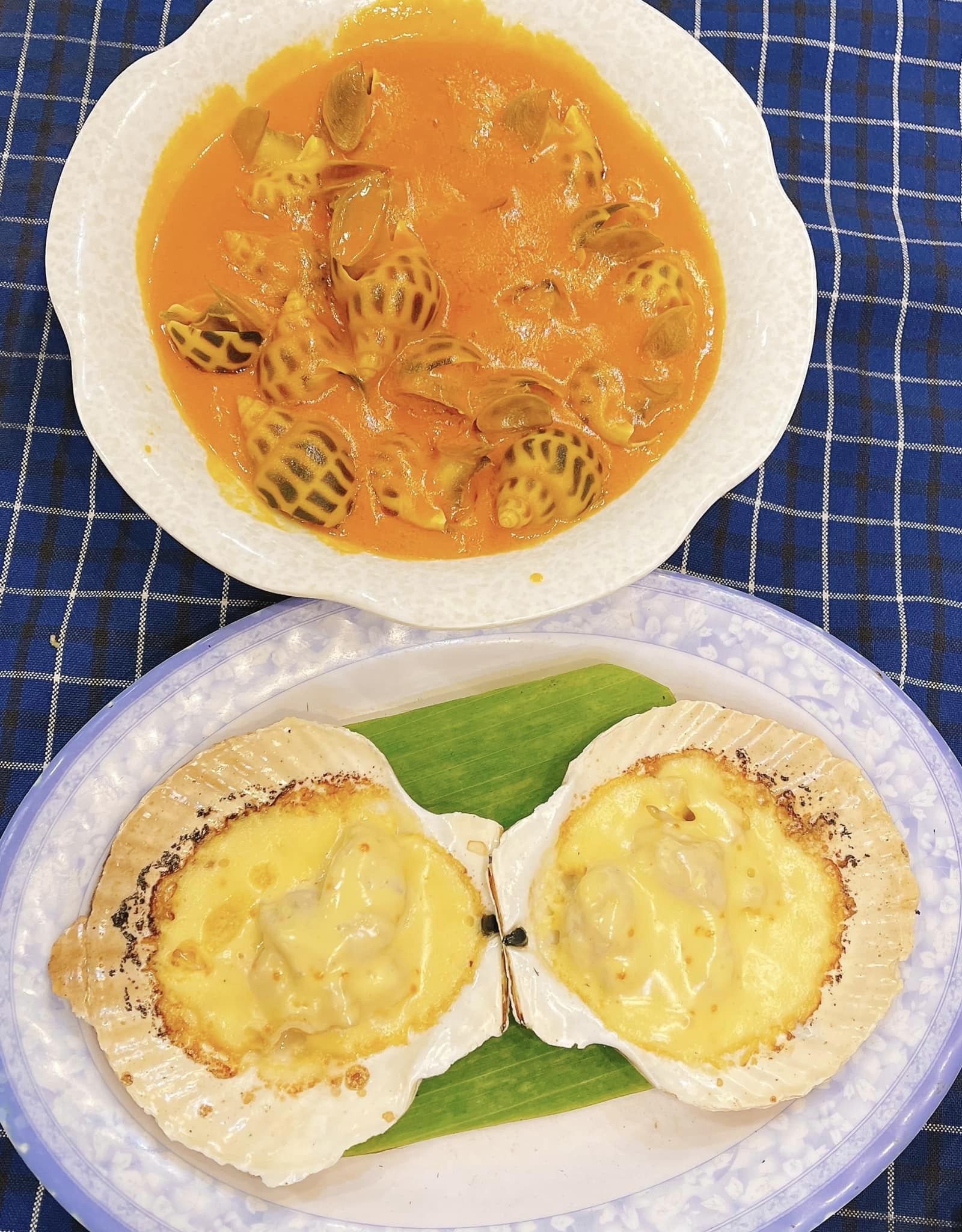 Ốc Thảo - Bông Sao