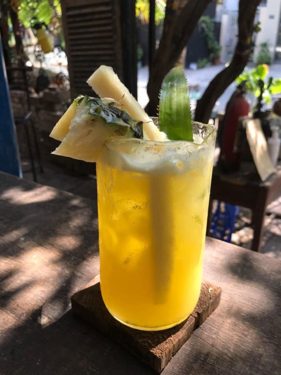 Cái Vườn Toro - Cà Phê - Bùi Minh Trực