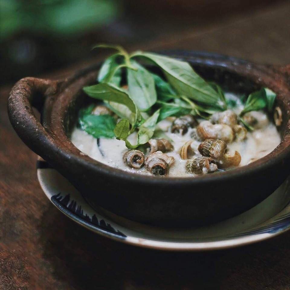 Ốc Chị Em - Nguyễn Thái Bình