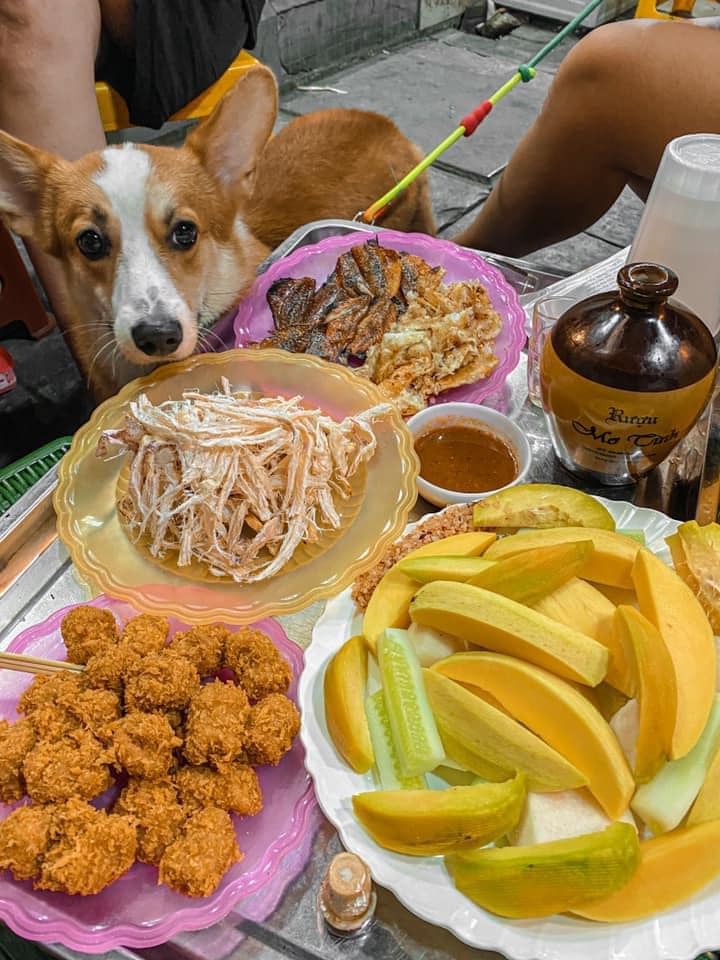 Phượng Mực - Phở Gà, Bún - Hàng Bồ