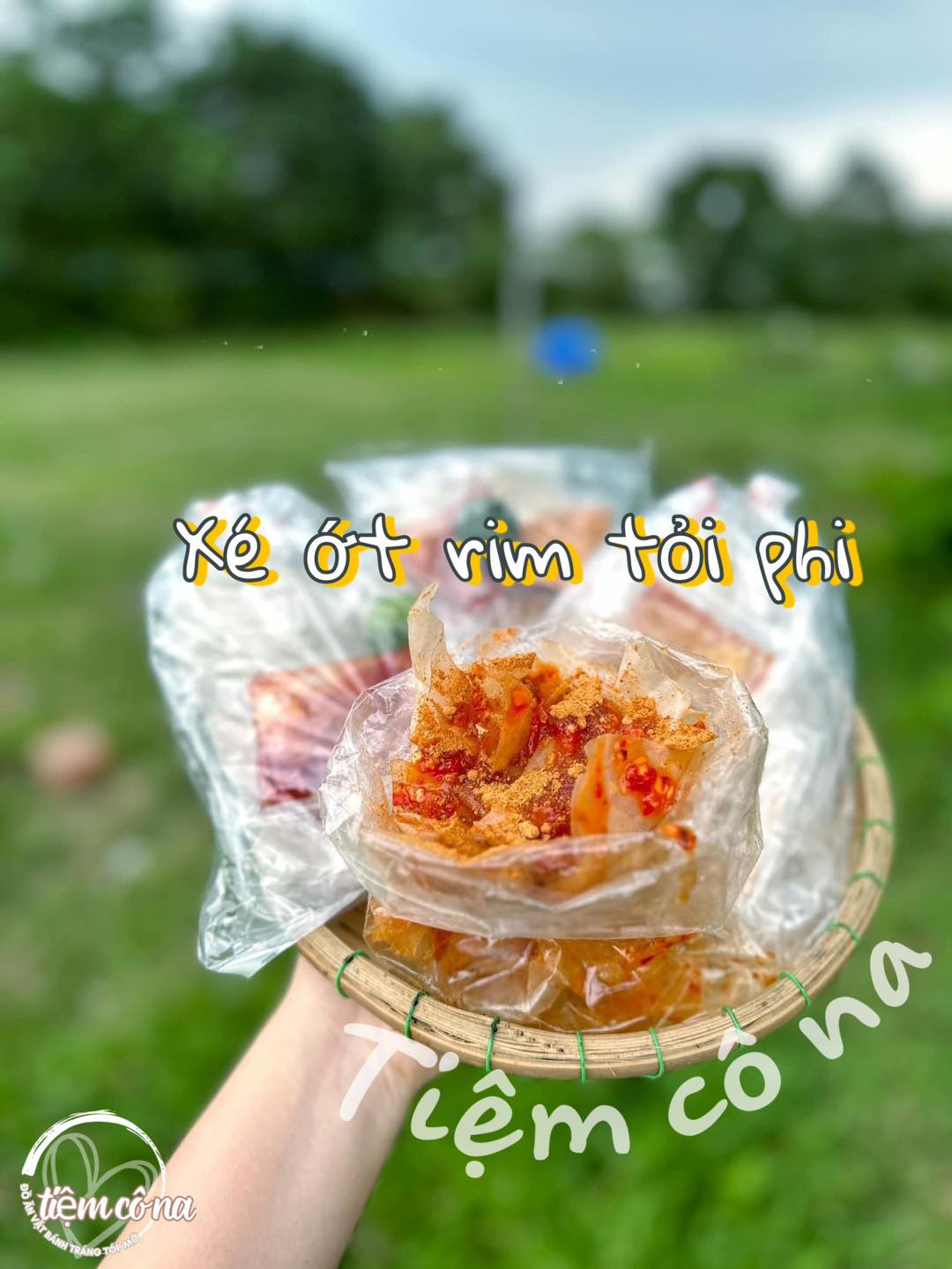 Tiệm Cô Na - Trần Hữu Trang