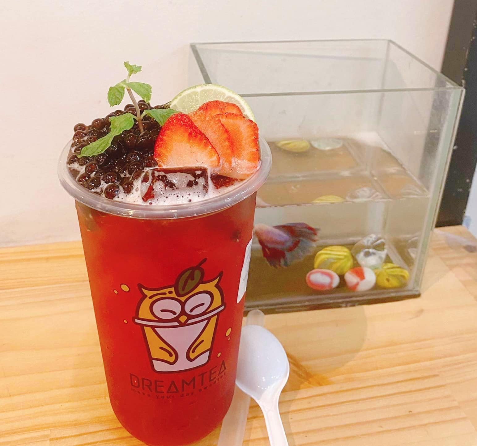 Trà Sữa Dreamtea - Hoàng Lê Kha