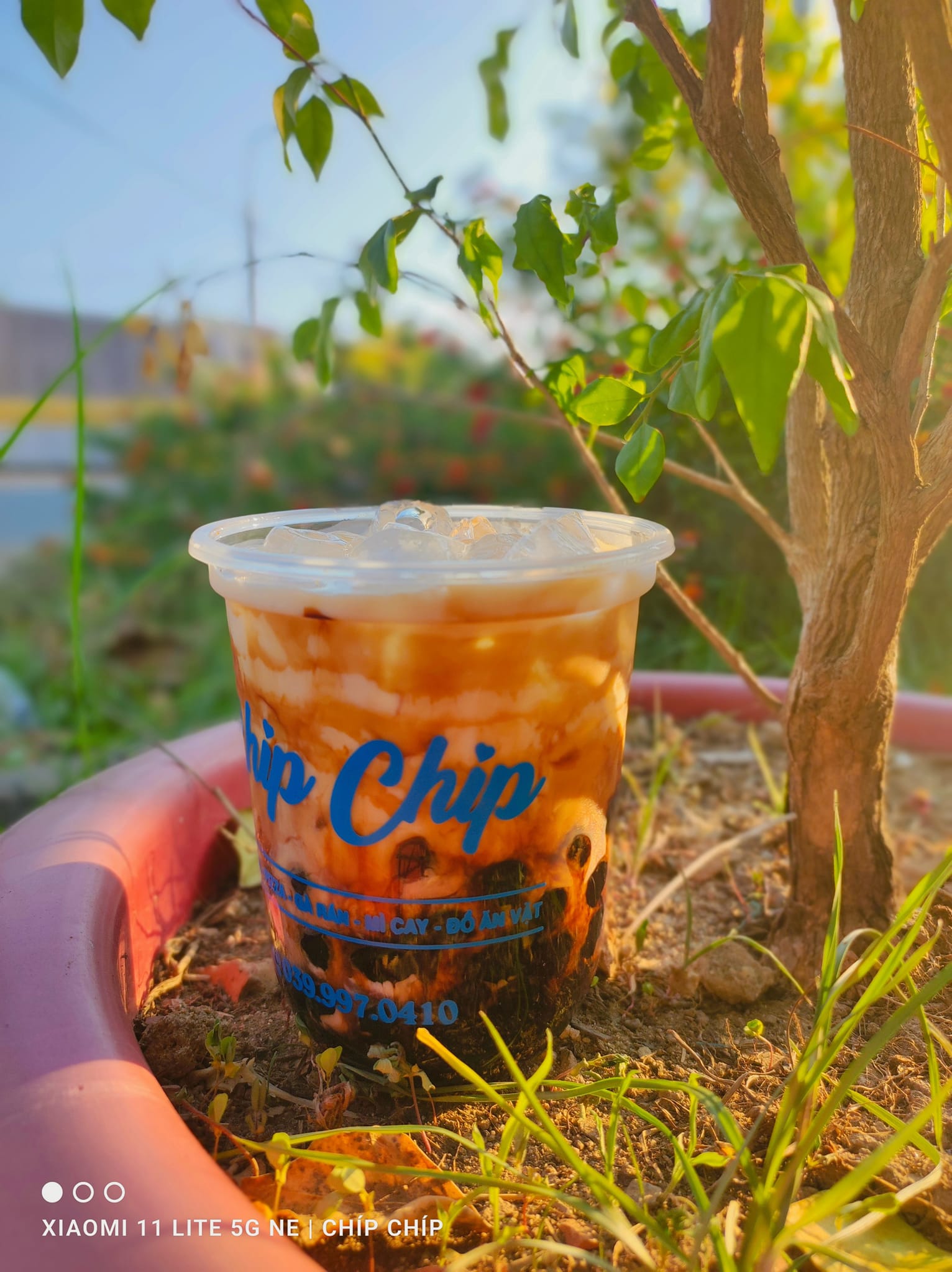 Trà Sữa Chíp Chíp - Tl19