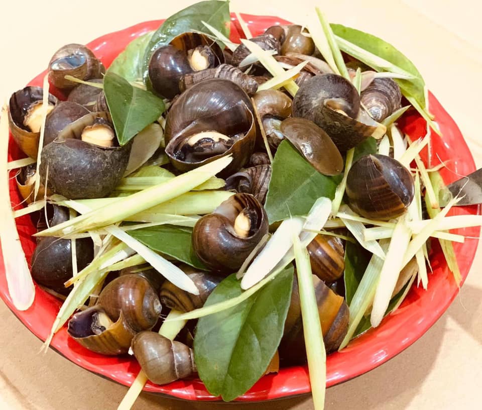 Trang - Ốc - Triều Khúc