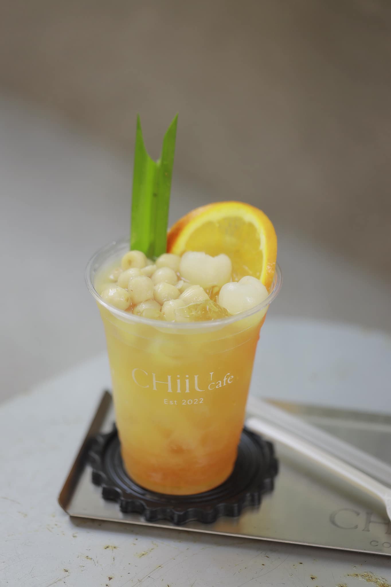 Chiiu Cafe Concept - Lê Hữu Trác