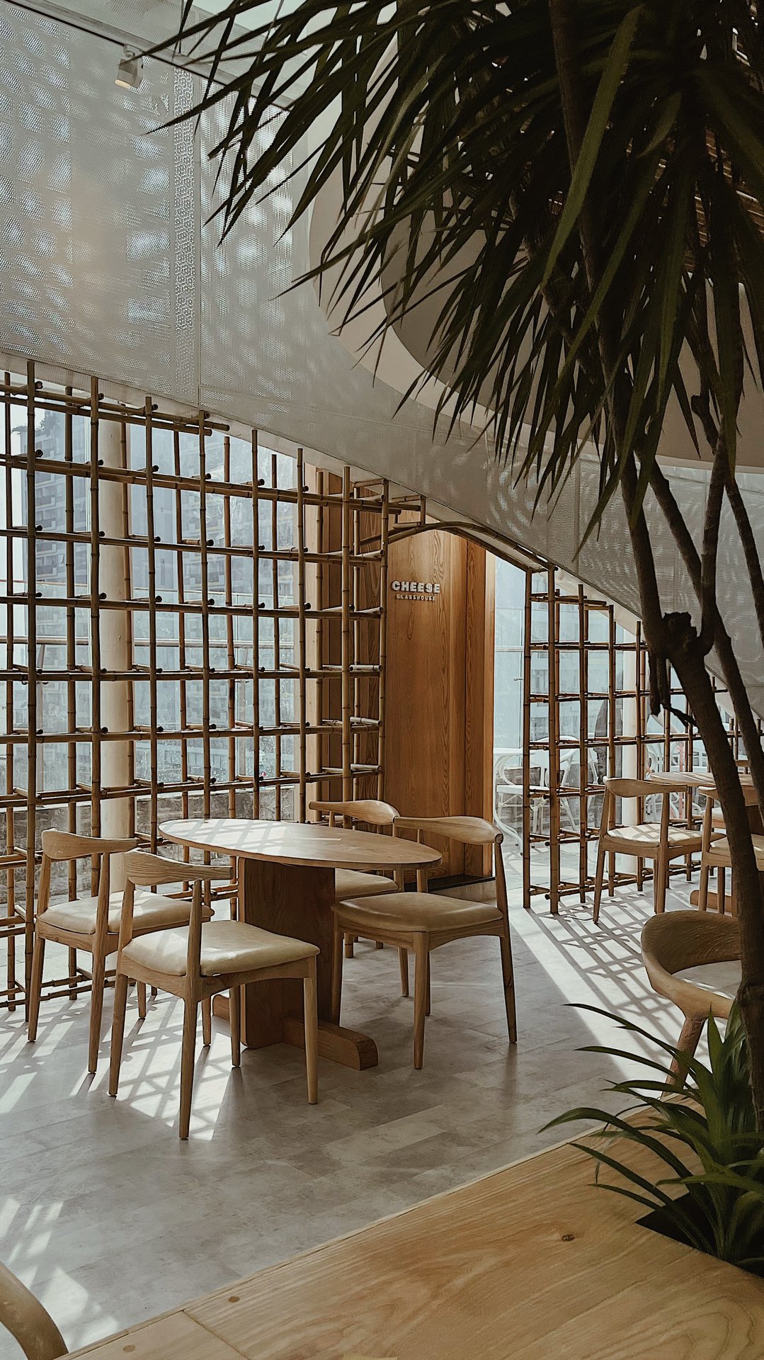 Cheese Coffee - Hồng Bàng