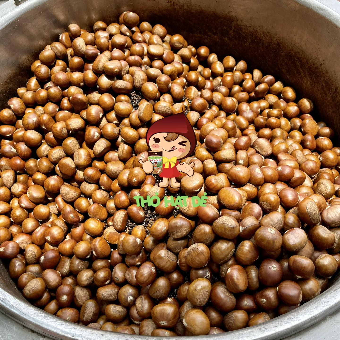 Thỏ Hạt Dẻ - Lê Đức Thọ