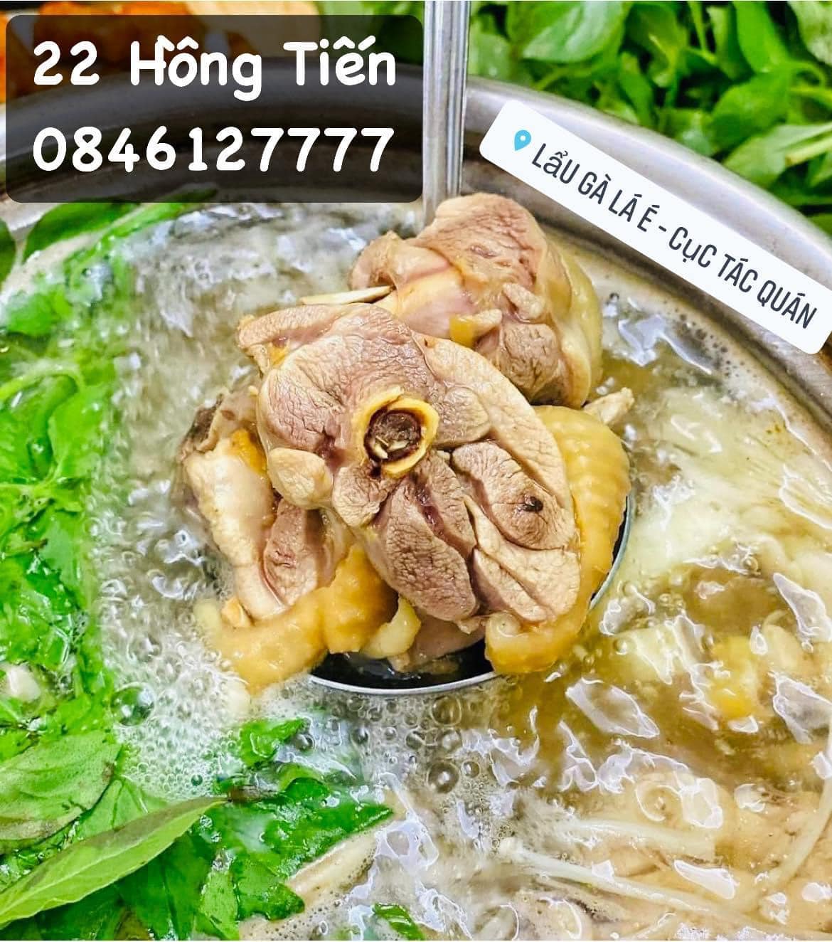 Lẩu Gà Lá É - Cục Tác Quán - Hồng Tiến