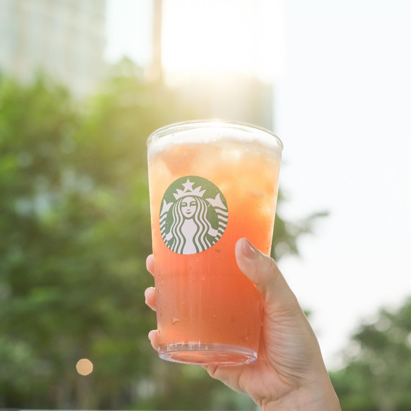 Starbucks Feliz en Vista - Phan Văn Đáng