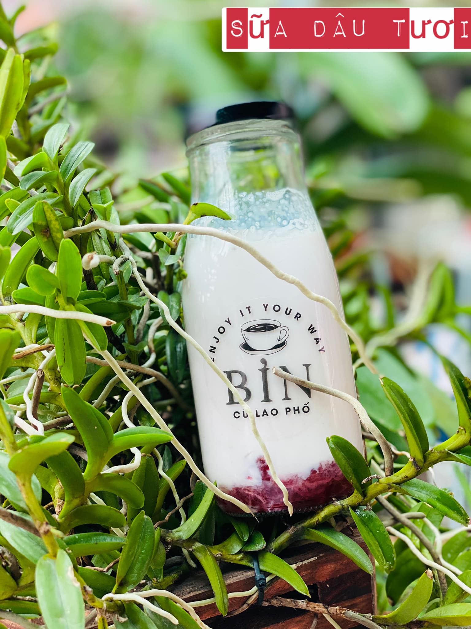 Cà Phê Bin Cù Lao - Đặng Văn Trơn