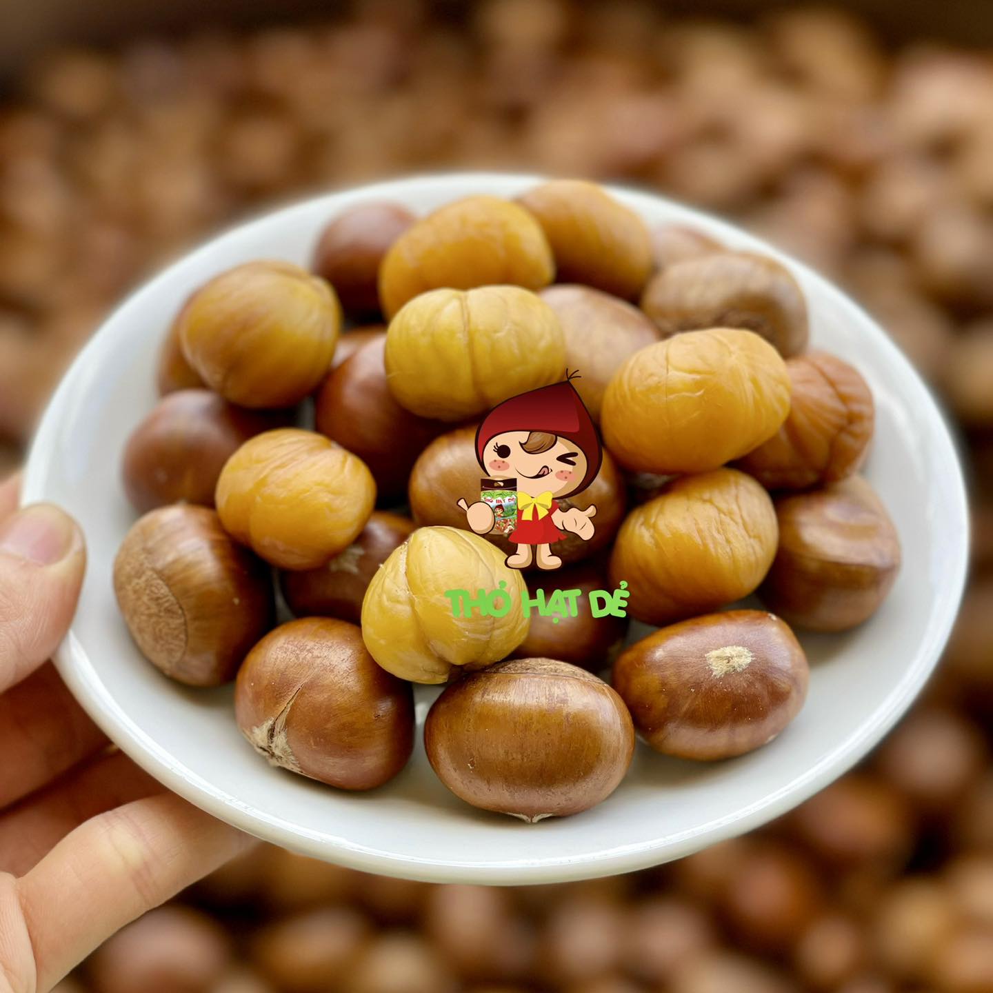 Thỏ Hạt Dẻ - Lê Đức Thọ