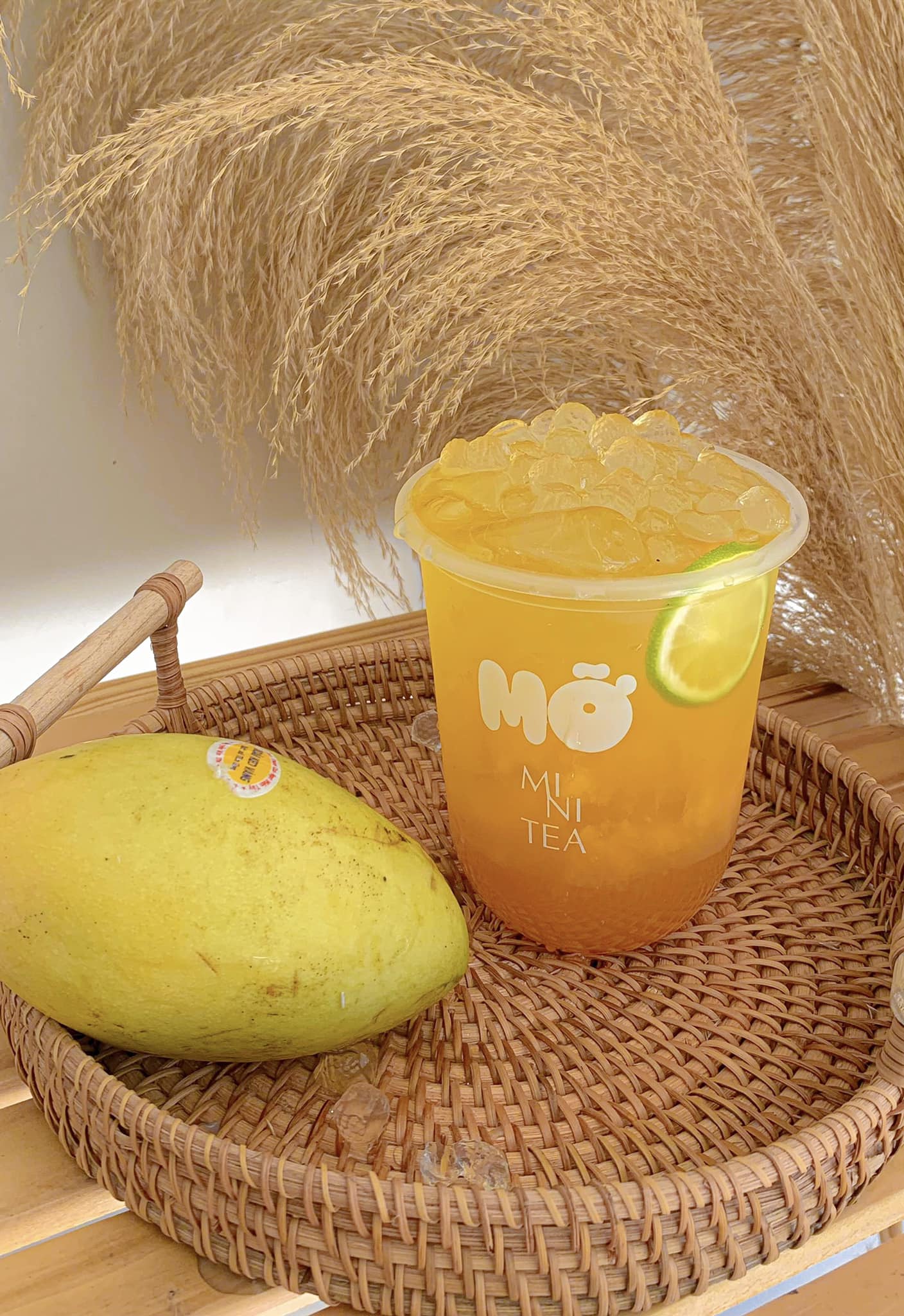 MỠ Minitea - Trà Sữa - Ngự Bình