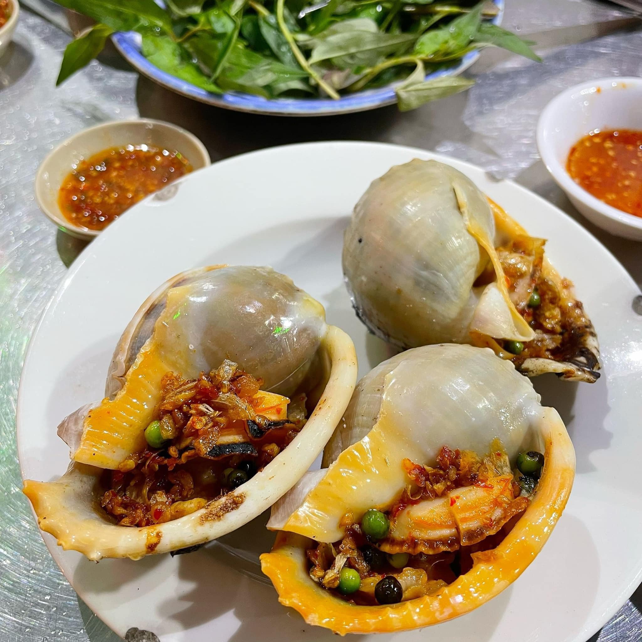 Ốc 2B - Nguyễn Biểu
