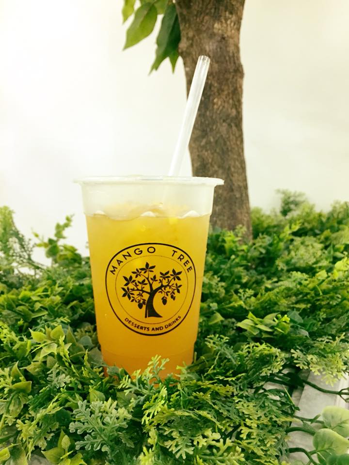 Mango Tree - Lê Đức Thọ