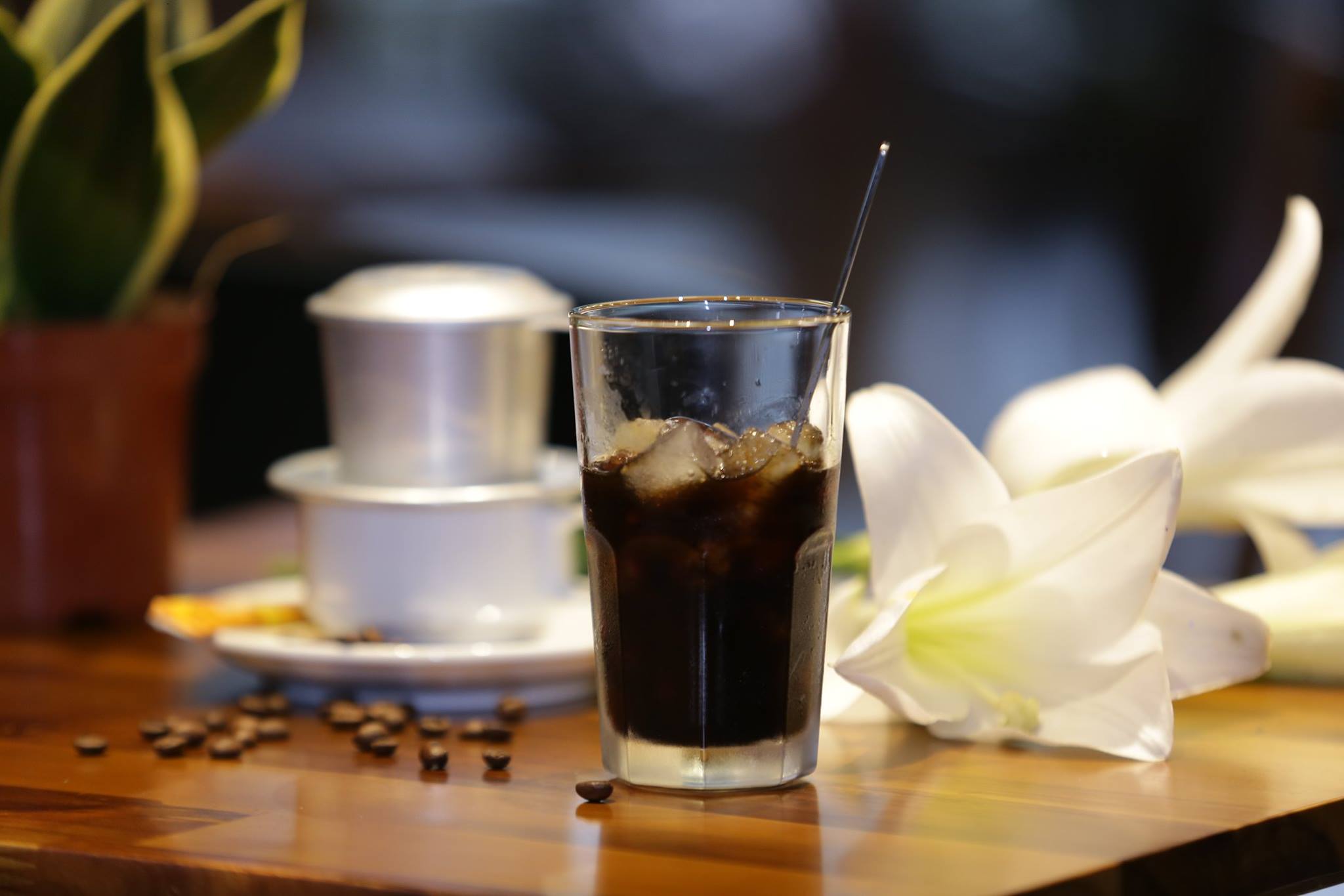 Xám Coffe - Phương Liệt